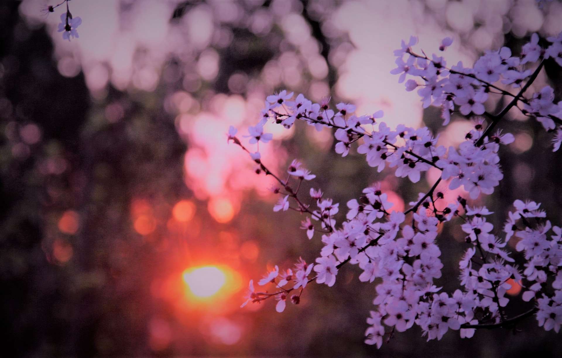 blog-4-1